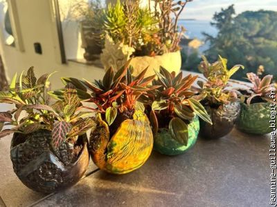pots en fa&iuml;ence